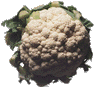 coliflor.gif (6084 bytes)